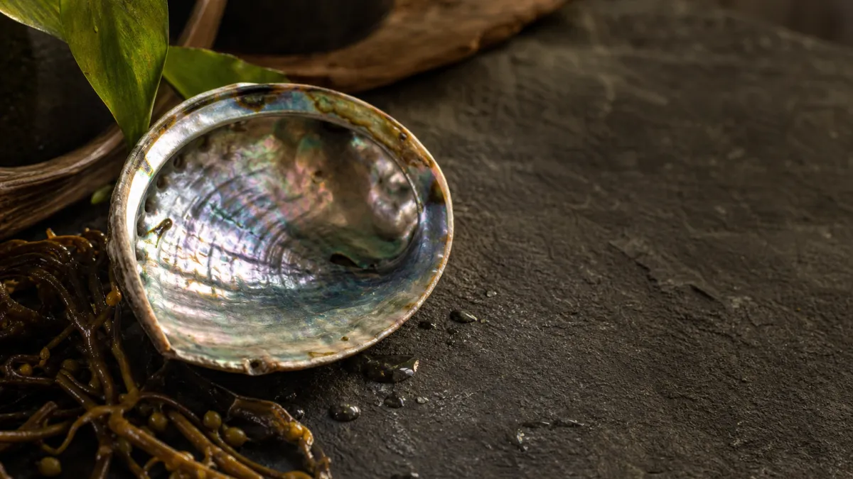 Ormeaux : tout savoir sur ce trésor de la gastronomie